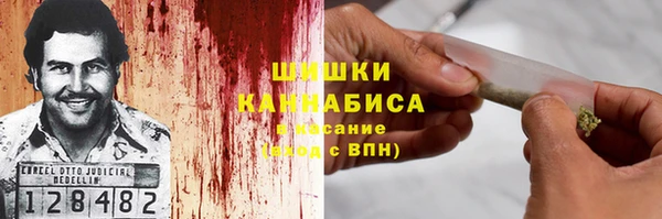 ГАЛЛЮЦИНОГЕННЫЕ ГРИБЫ Баксан