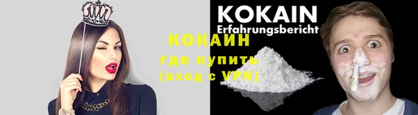 крисы Балахна