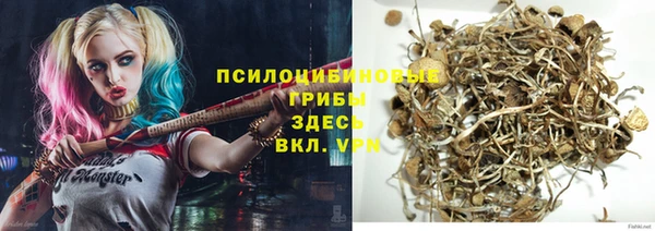 ГАЛЛЮЦИНОГЕННЫЕ ГРИБЫ Баксан