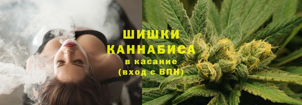 спиды Белокуриха